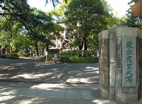 日本东京农业大学(日处理3吨)